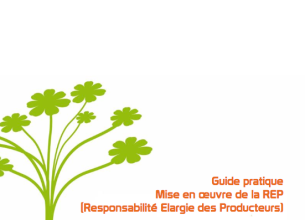 Lancement du Guide Pratique de mise en œuvre des REP, DEA et DEEE