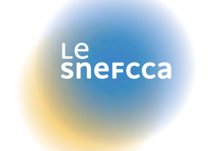 SNEFCCA : une brochure pour sortir du R-404A / R-507A