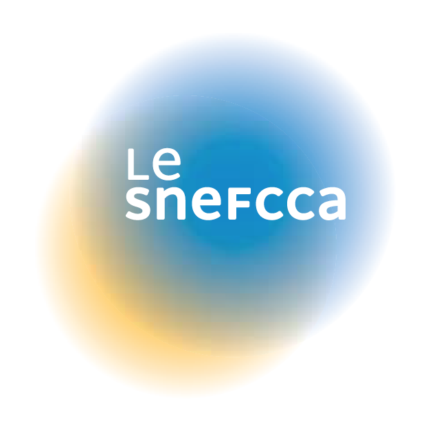 Les locaux du Snefcca font peau neuve