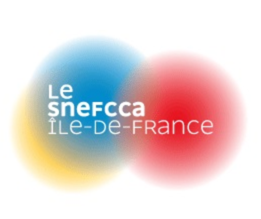 Une nouvelle réunion du Snefcca et de l’AFF sur le thème « R32 VS HFO »