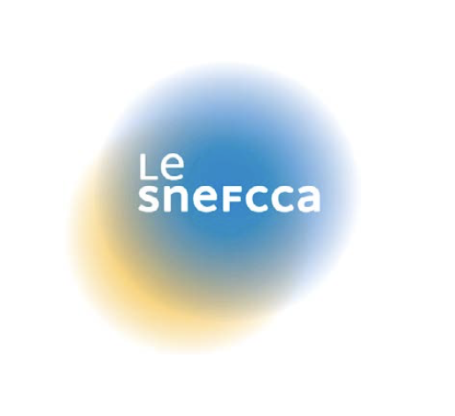 Snefcca : pour le maintien du suramortissement de la suppression de la taxe HFC