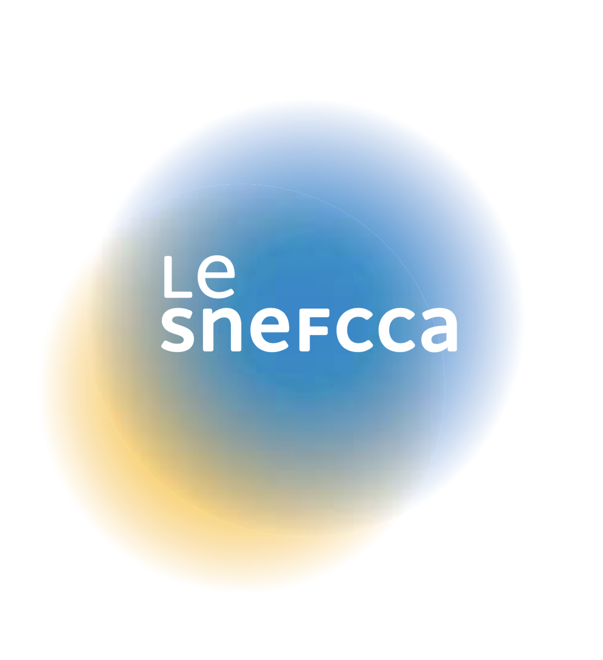 5,69 milliards d’euros de CA en 2019 pour les entreprises du froid