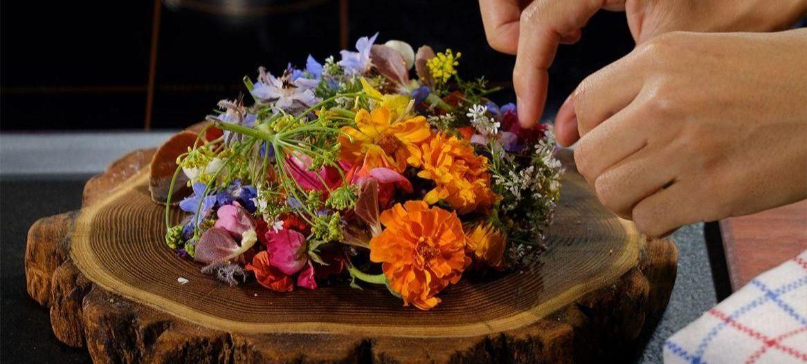 Sirha Green : le programme se précise