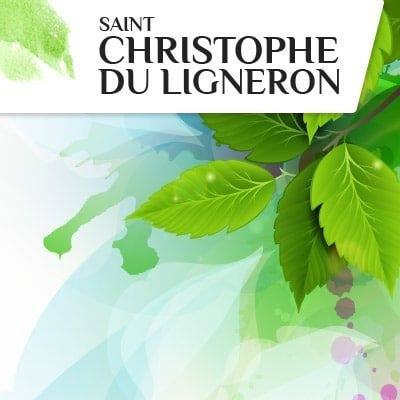 Un nouveau restaurant scolaire pour Saint-Christophe-du-Ligneron