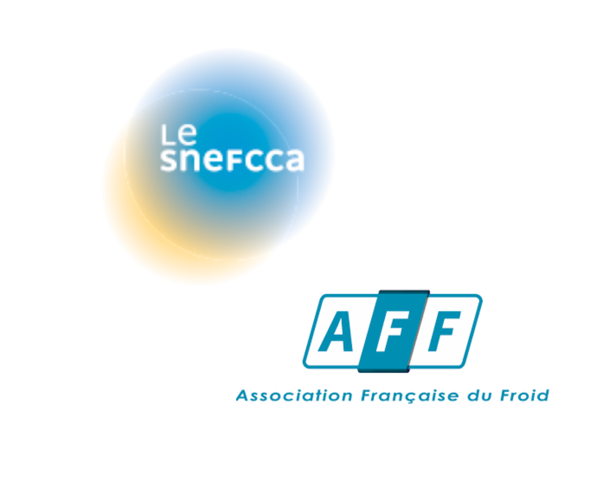 L’AFF et le Snefcca Rhône-Alpes organisent leur conférence de printemps