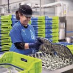 Oyobo et Re-uz for Eternity : Le lavage des contenants et le réemploi se développent